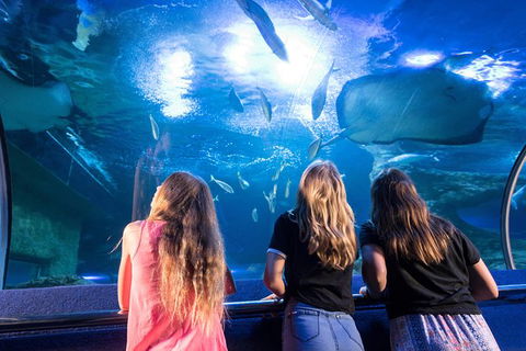 AQWA The Aquarium Of Western Australia: General Admission - Accommodation Perth 7