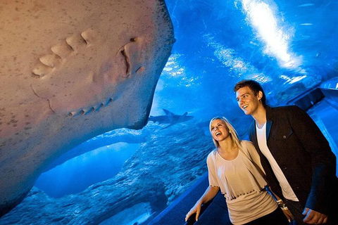 AQWA The Aquarium Of Western Australia: General Admission - Accommodation Perth 6