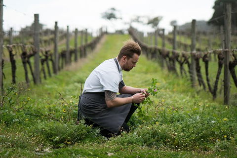 Vasse Felix Epicurean Tour And Tasting Experience With 5 Course Lunch - Perth Resorts 9