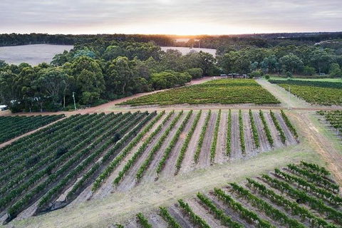 Vasse Felix Epicurean Tour And Tasting Experience With 5 Course Lunch - Perth Resorts 7