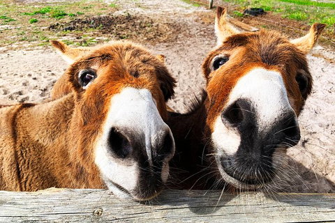 Margaret River (Private) Day Tour - Perth Resorts 6