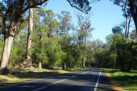 Margaret River (Private) Day Tour - Perth Resorts 12