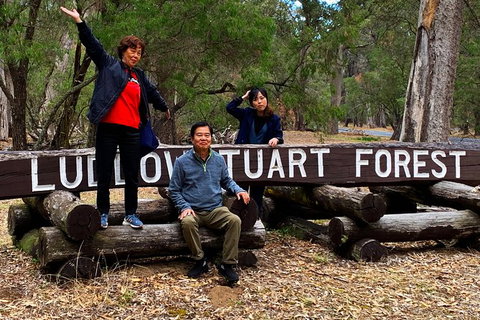 Margaret River (Private) Day Tour - Perth Resorts 21