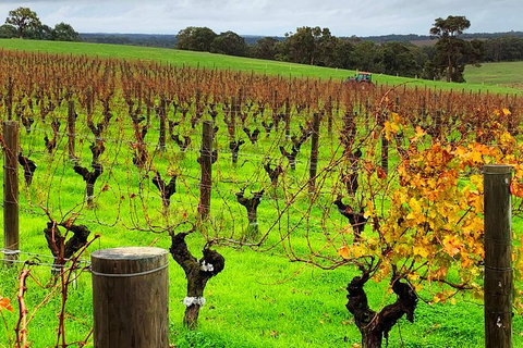 Margaret River (Private) Day Tour - Perth Resorts 8