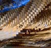 The Big Wave Rock Private Day Tour - Perth Resorts