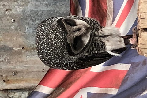 Perth Hills - Wildlife, Art & Gastronomy - Perth Resorts 6