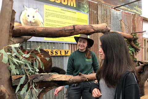 Perth Hills - Wildlife, Art & Gastronomy - Perth Resorts 4