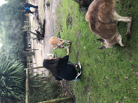 Perth Hills - Wildlife, Art & Gastronomy - Perth Resorts 9