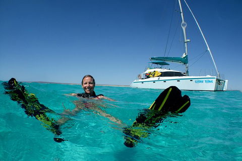 3 Night Ningaloo Reef Snorkel And Dive Getaway From Coral Bay - Perth Resorts 1