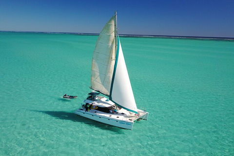 3 Night Ningaloo Reef Snorkel And Dive Getaway From Coral Bay - Perth Resorts 4