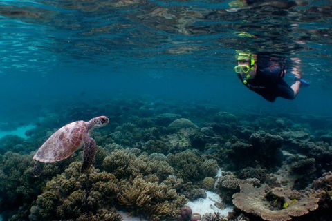 3 Night Ningaloo Reef Snorkel And Dive Getaway From Coral Bay - Perth Resorts 2