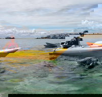 Seal Island and Penguin Island or Point Peron Sea Kayak Tour - Perth Resorts
