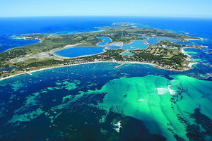 Full Day by Seaplane to Rottnest Island Small Group Trip
