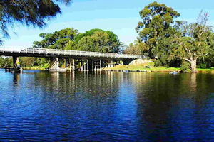 Reflections on the Swan (Private) Day Tour