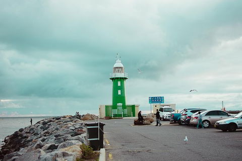 Penguin Island And Fremantle - Canoe, Chocolate & Coffee - Accommodation Perth 1