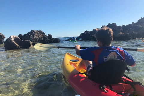 Penguin Island And Fremantle - Canoe, Chocolate & Coffee - Accommodation Perth 0