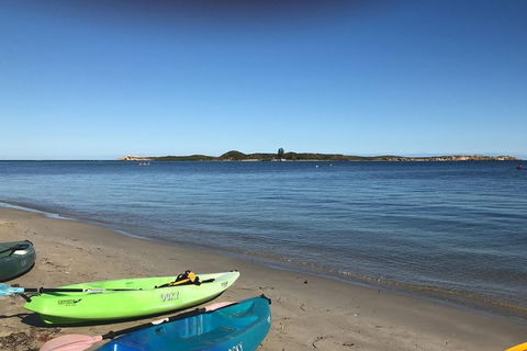 Penguin Island And Fremantle - Canoe, Chocolate & Coffee - Accommodation Perth 4