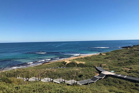 Penguin Island And Fremantle - Canoe, Chocolate & Coffee - Accommodation Perth 3