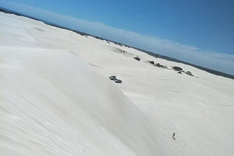 Yanchep & Lancelin - Wildlife, Cave And Sands - Accommodation Perth 3