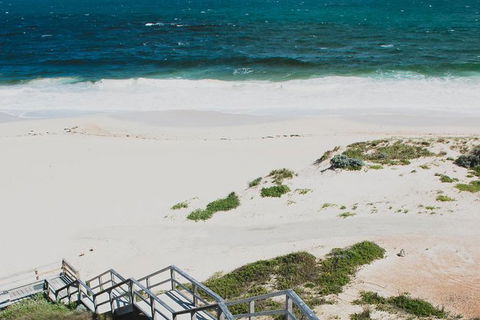 Yanchep & Lancelin - Wildlife, Cave And Sands - Accommodation Perth 4