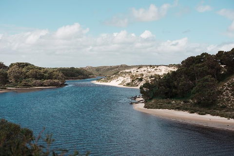 Yanchep & Lancelin - Wildlife, Cave And Sands - Accommodation Perth 6