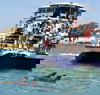 Mandurah Dolphin and Scenic Marine Cruise - Accommodation Perth