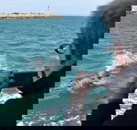 Mandurah Dolphin Island Adventure - Accommodation Perth
