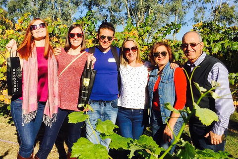 Wine Tasting Day Trip And Swan Valley River Cruise To Perth - Accommodation Perth 1