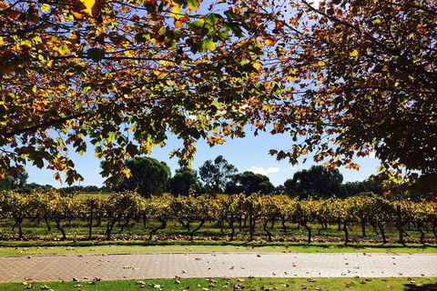 Wine Tasting Day Trip And Swan Valley River Cruise To Perth - Accommodation Perth 5
