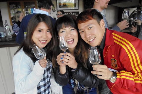 Wine Tasting Day Trip And Swan Valley River Cruise To Perth - Accommodation Perth 3