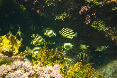 Margaret River Coastal And Wildlife Eco Trip From Busselton Or Dunsborough - Perth Resorts 4