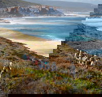 8-Day Cape to Cape Track Guided Walking Tour from Perth - Perth Resorts