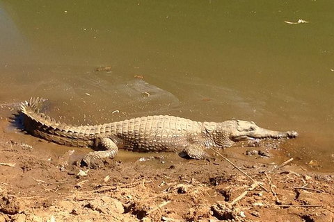 Amazing Windjana Gorge And Tunnel Creek Adventure From Broome - Perth Resorts 7