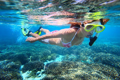 Abrolhos Islands Scenic Flight & Snorkel Adventure From Perth - Perth Resorts 2