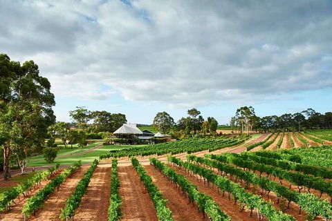 Vasse Felix Winery Tour And Tasting - Perth Resorts 0