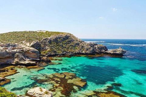 Rottnest Island Bayseeker Day Trip From Fremantle - Accommodation Perth 3