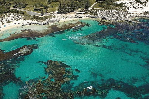 Rottnest Island Bayseeker Day Trip From Fremantle - Accommodation Perth 4