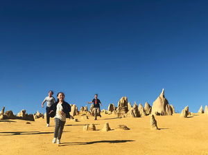 Pinnacles, Lancelin, Yanchep National Park Day Tour (Fish & Chip Lunch)
