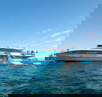 Rottnest Island Bike Snorkel  Ferry Package from Fremantle - Accommodation Perth