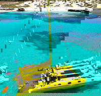 Full Day Sail to Rottnest Island from Fremantle - Accommodation Perth