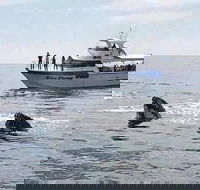 Busselton Whale Watching Eco Tour - Perth Resorts