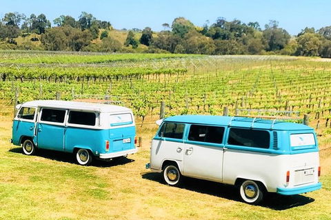 VW Kombi Wine Tour In The Swan Valley - Perth Resorts 6