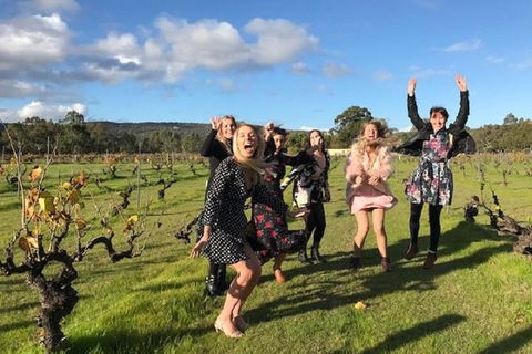 VW Kombi Food, Wine And More Tour (bring The Kids!) - Perth Resorts 3