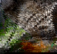 Porongurup Nature  History Eco Tour - Accommodation Perth