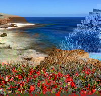 Cape to Cape End-to-End 8 Day Walking Experience - Accommodation Perth