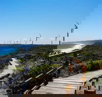 Torndirrup National Park and Bay Highlights - Accommodation Perth