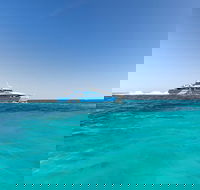 Rottnest Island Settlement Explorer Segway Package from Fremantle - Accommodation Perth