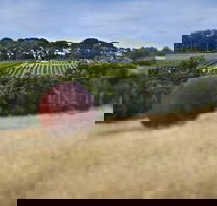 Estate to Plate Montalto Vineyard Gourmet Lunch and Wine-Tasting Tour - Accommodation Perth
