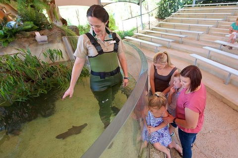Meet A Platypus At Healesville Sanctuary - Accommodation Perth 1