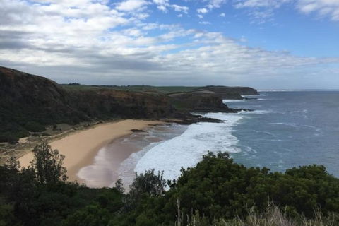 Phillip Island, George Bass Coastal Walk And Penguins Tour - Accommodation Perth 0